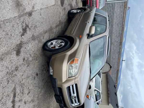 WhatsApp Image 2024-08-16 at 17.17.39